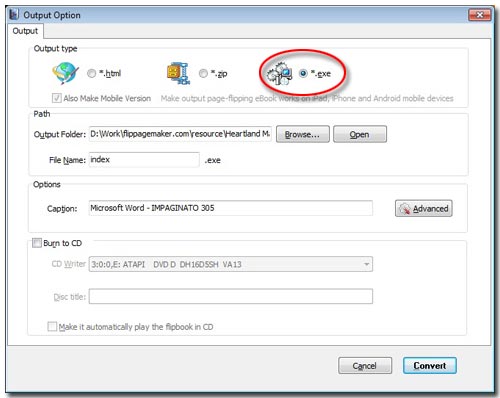 select the output type "*.exe"
